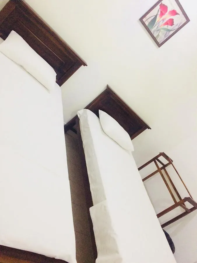 旅馆 尼甘布 实惠旅舍旅舍 斯里兰卡